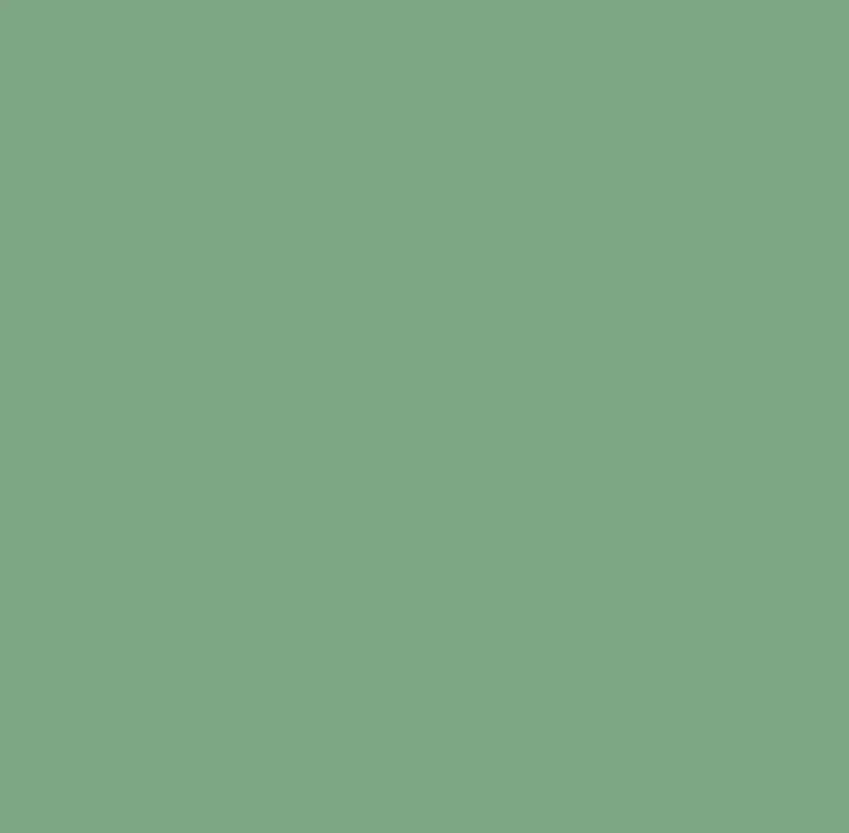 4 (24)_result-1781055849