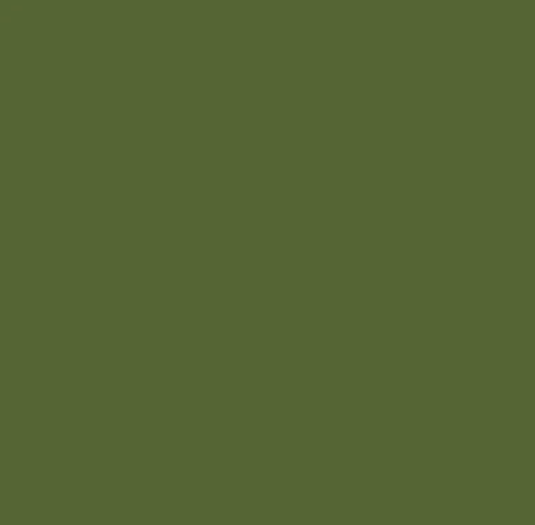 4_result-1781055851